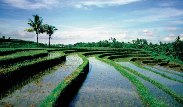 Privatrundreise "Faszinierendes Bali" & Erholung auf Lombok