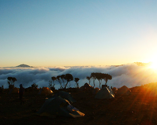Reiseangebote Kilimanjaro