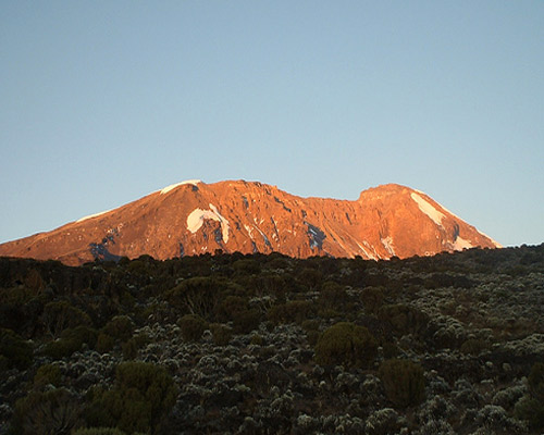 Reiseangebote Kilimanjaro