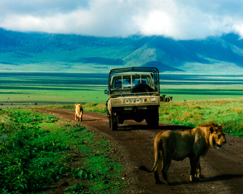 Reiseangebote Ngorongoro