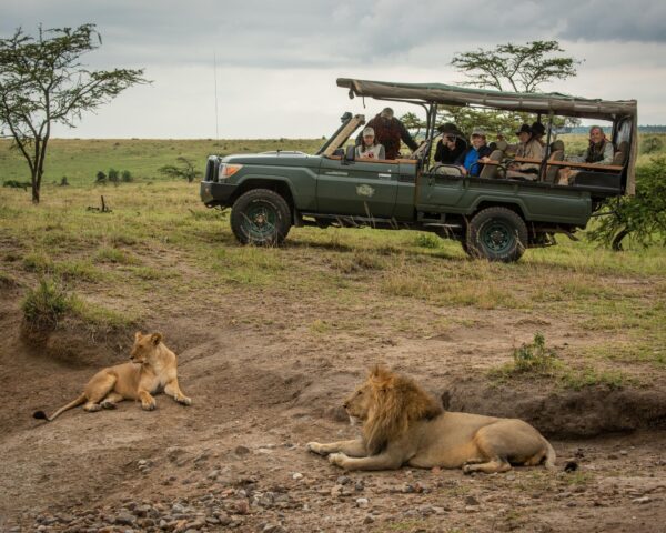 Reiseangebote Ngorongoro