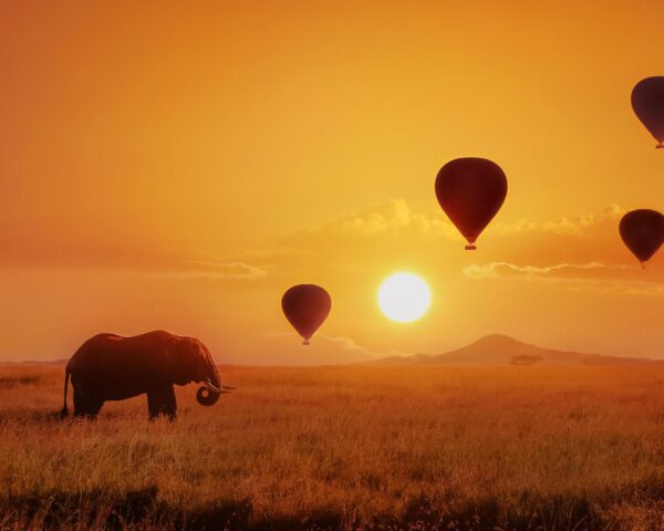 Reiseangebote Serengeti (Tanzania)