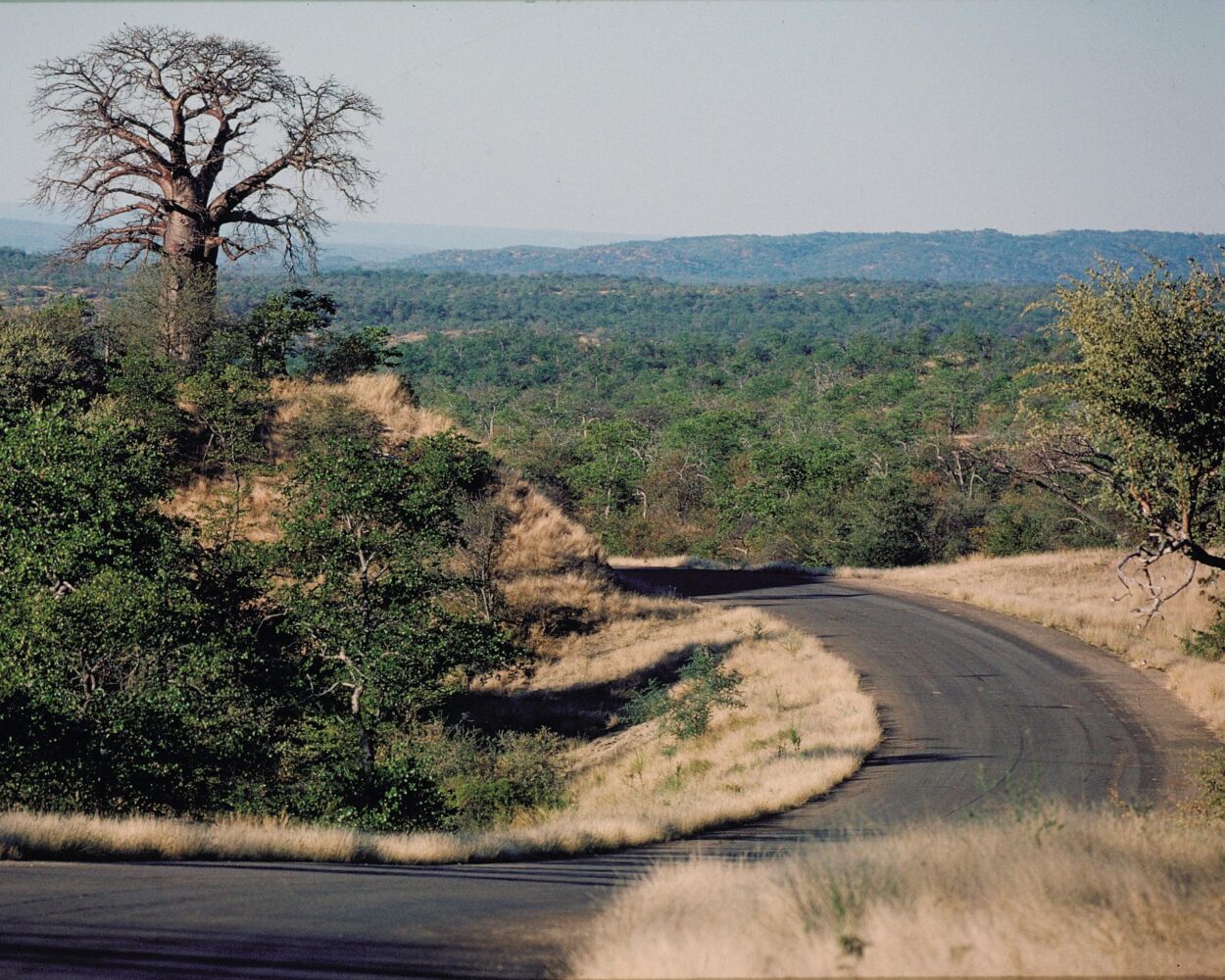 Mietwagenrundreise "Die Klassiker von Südafrika" Hintergrundbild