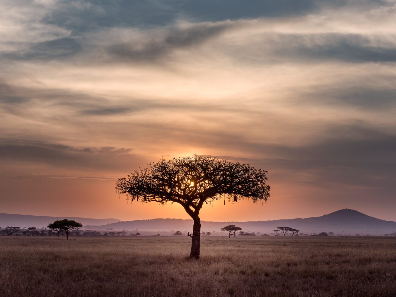 Tansania & Kenia: Sansibar mit Safari & Baden in Kenia Hintergrundbild