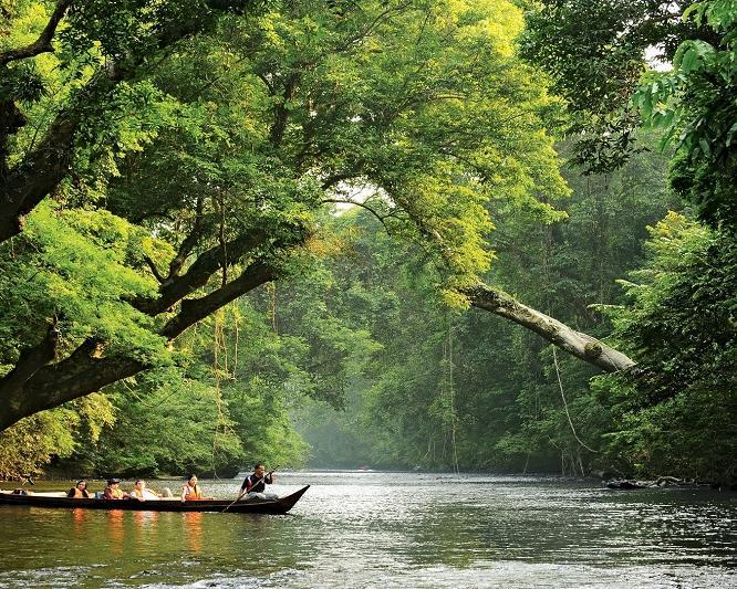 Kurztour "3 Tage Taman Negara" Hintergrundbild