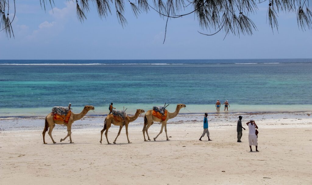 Diani Beach Kenia