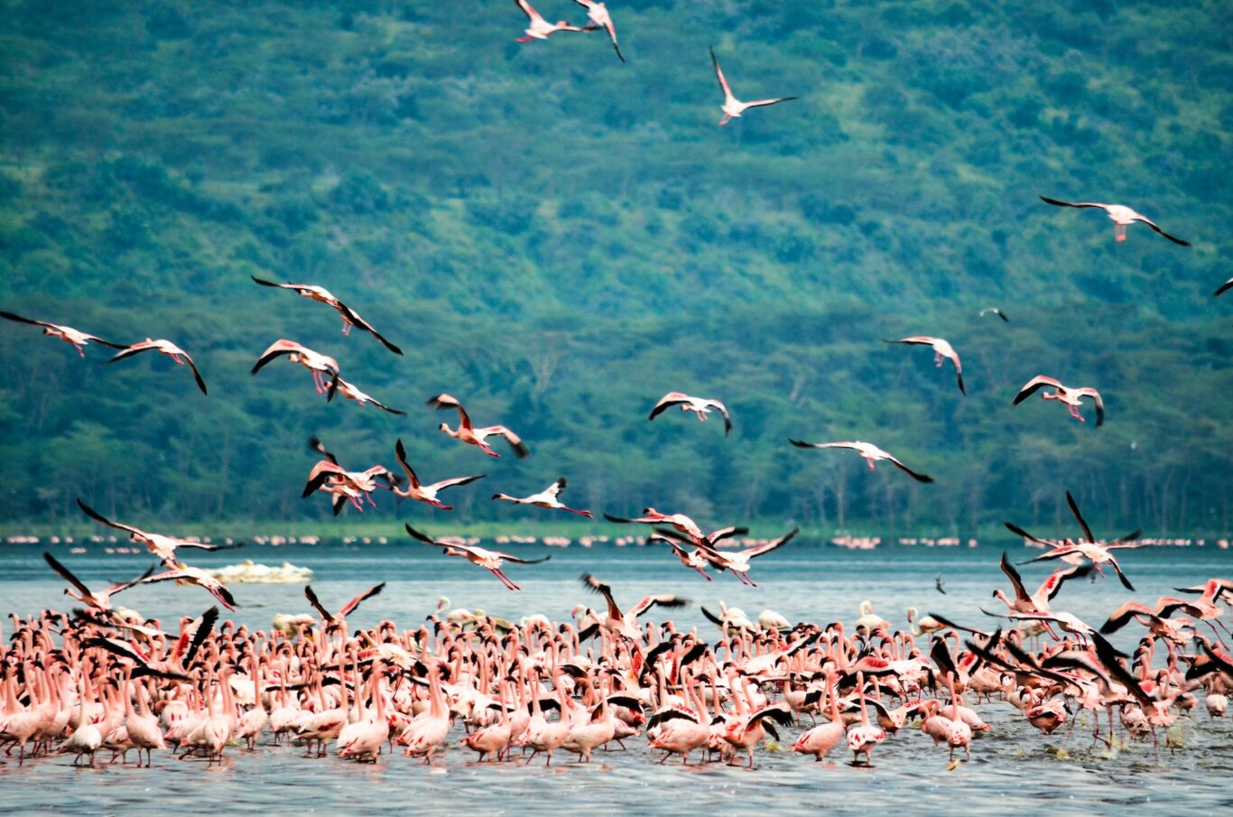 Nakuru