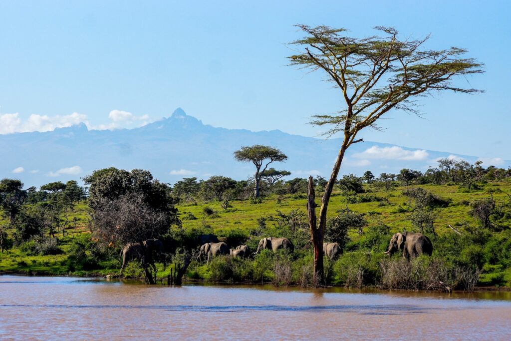 Mount Kenia Nationalpark
