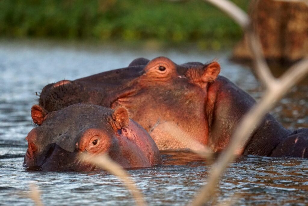 Naivasha, Kenya