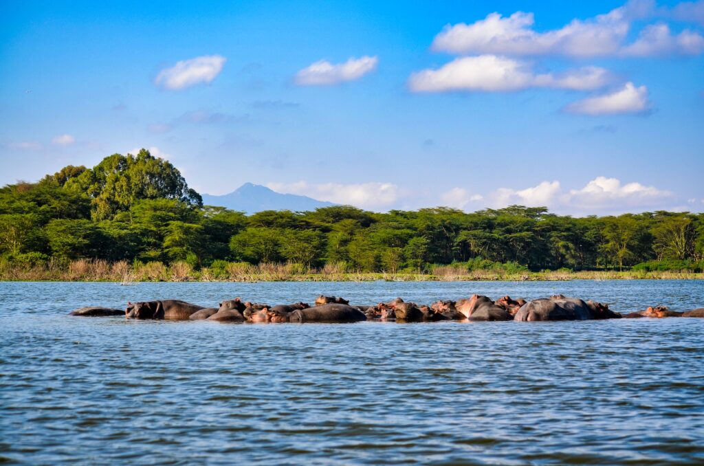 Lake Nakuru, Kenia