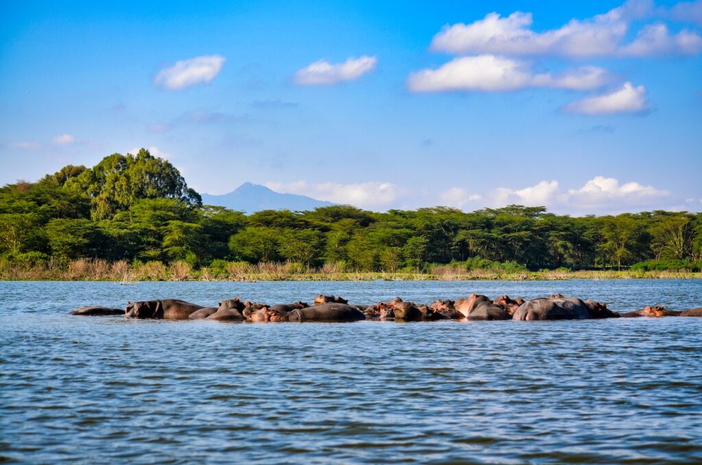Lake Nakuru, Kenia Lake Nakuru, Kenia