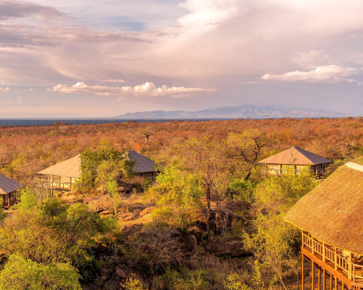 Deluxe Safari in Tansania Hintergrundbild