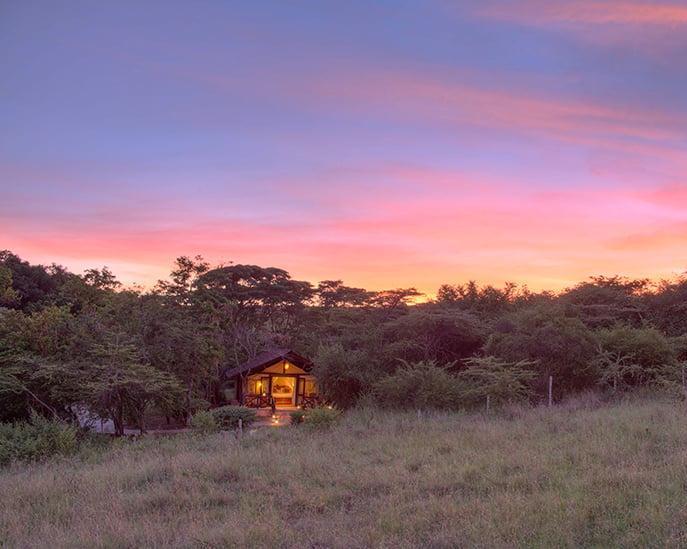 Stopover Istanbul, Safari "Masai Mara, Aberdare & Naivasha" und Nairobi Hintergrundbild