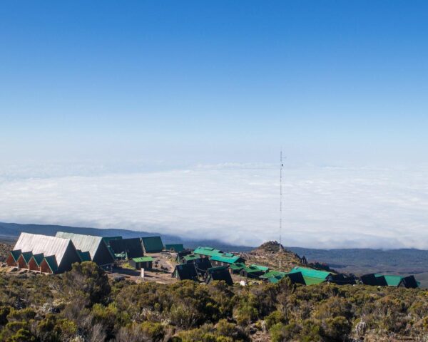 Kilimanjaro Besteigung, Kurz-Safari "Mini Tansania" & Baden Sansibar
