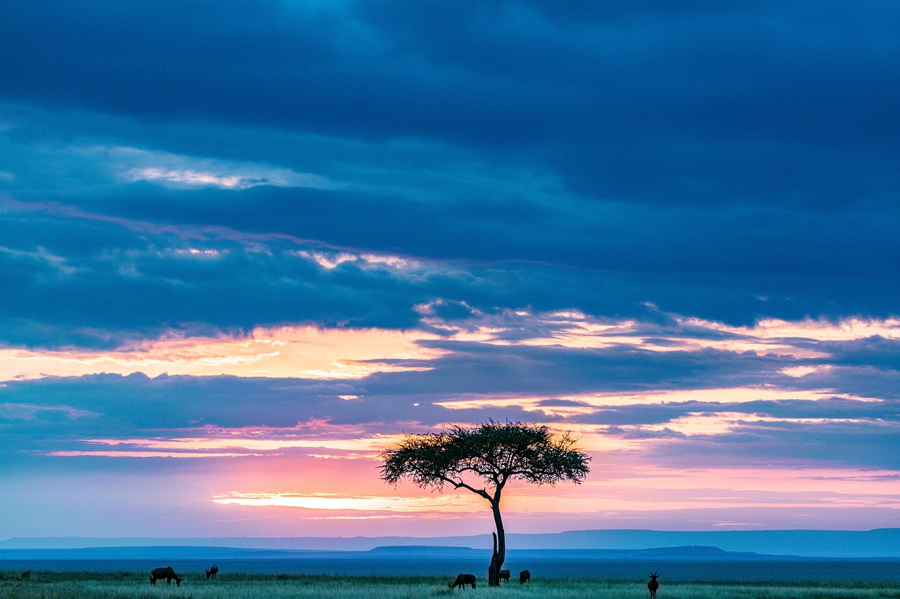 Kenia & Südafrika: Mombasa, Nairobi und Kapstadt Hintergrundbild