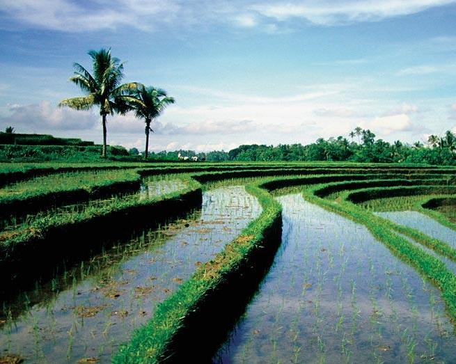 Private Kurztour "Faszinierendes Bali" & Erholung auf Lombok Hintergrundbild