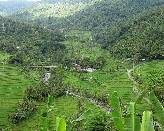 Private Kurztour "Faszinierendes Bali" Hintergrundbild Private Kurztour "Faszinierendes Bali" Hintergrundbild