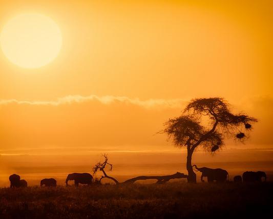 Reiseangebote Amboseli National Park