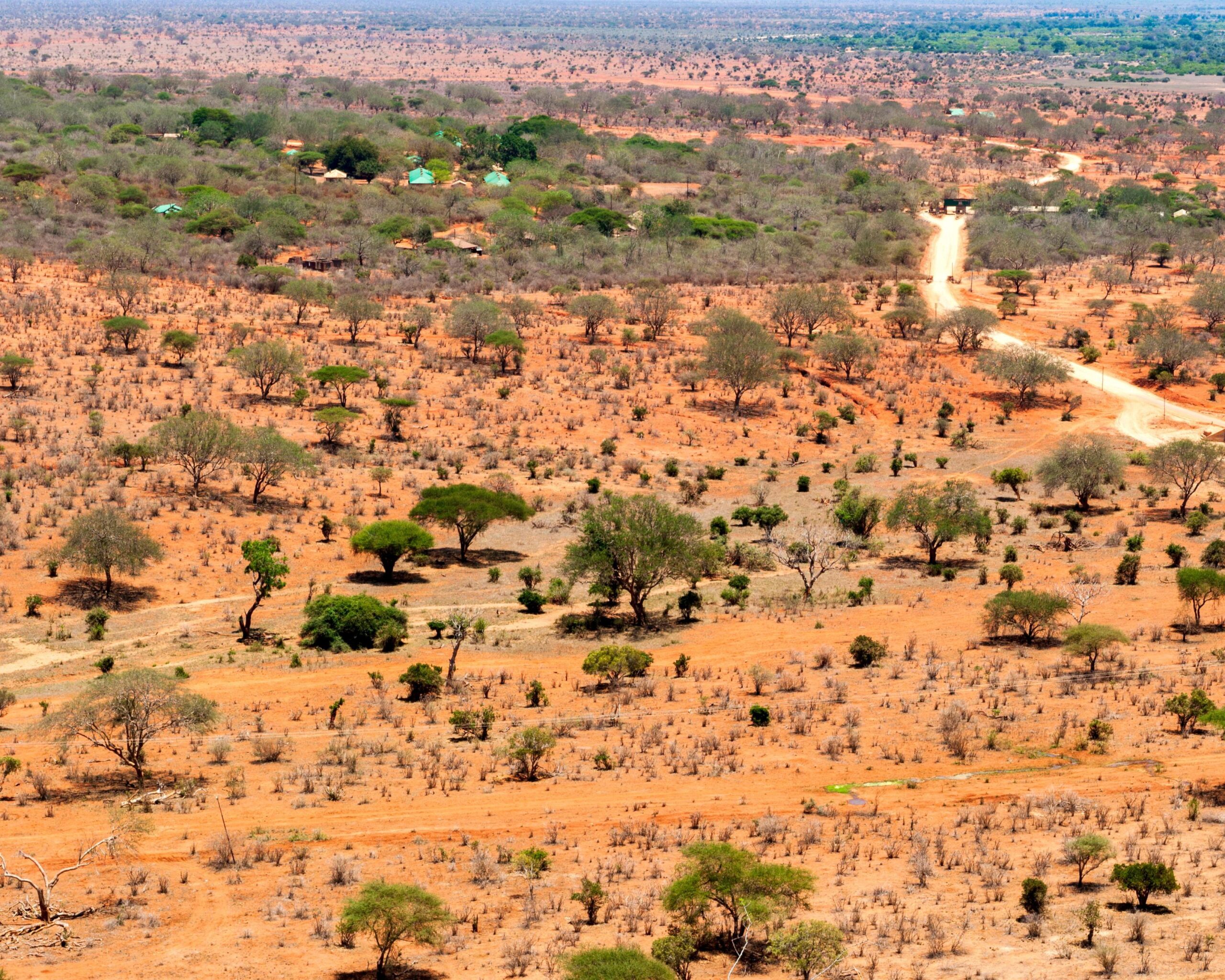 Tsavo National Park Individuelle Rund & Kombireisen SunTrips