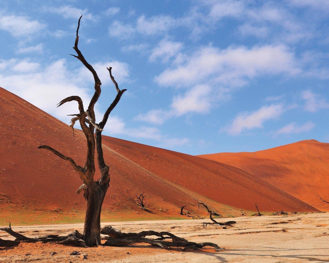 Rundreise inkl. Safari "Entdeckungsreise Namibia" & Erholung Südafrika Hintergrundbild