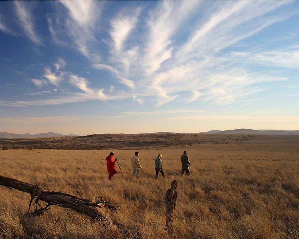 Safari "Nordkenia" Hintergrundbild