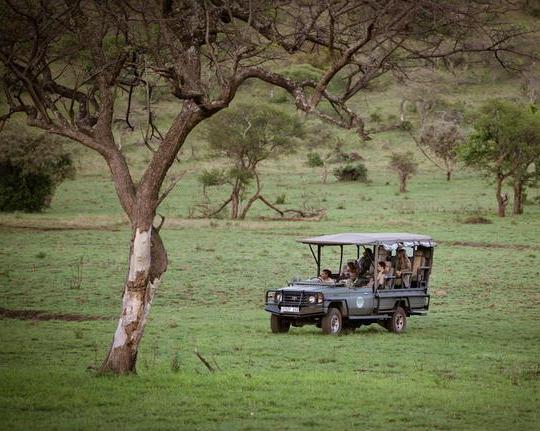 Familiensafari in Tansania