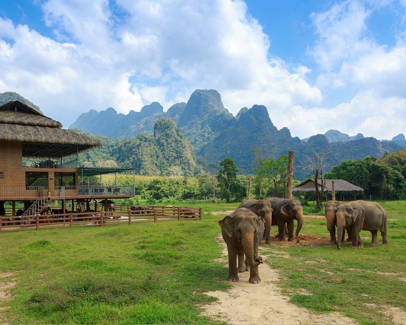 Bangkok, "Elephant Hills Jungle Safari 1N" & Baden Hintergrundbild