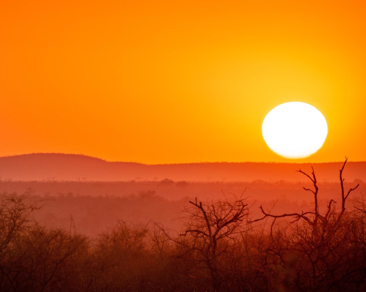Johannesburg, Safari "Kruger Nationalpark" & Baden Mauritius Hintergrundbild Johannesburg, Safari "Kruger Nationalpark" & Baden Mauritius Hintergrundbild