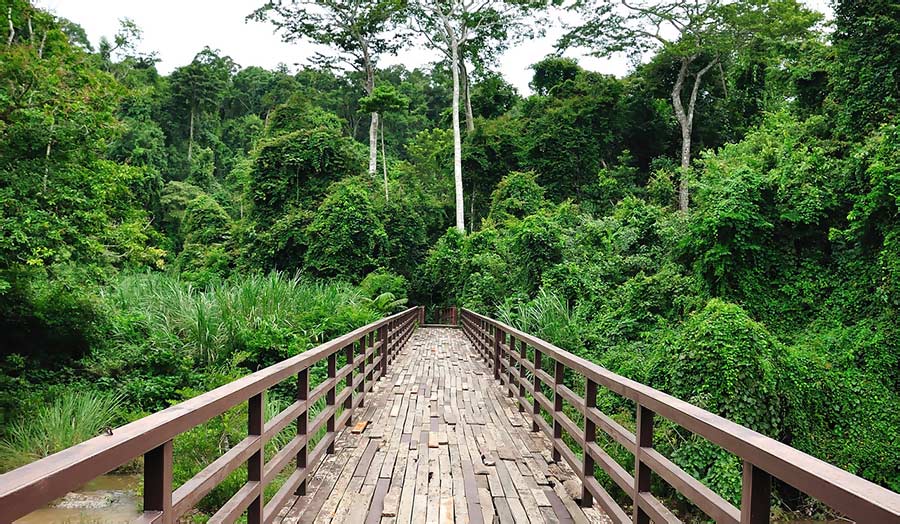 Kurztour "Khao Yai Nationalpark" & Baden auf Koh Tao + Koh Phangan DeLuxe Hintergrundbild