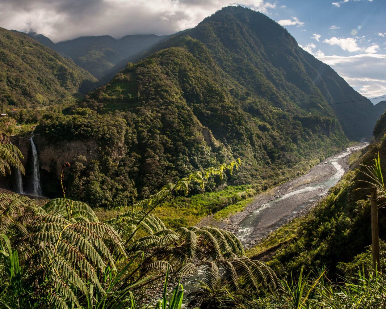 Mietwagenrundreise "Feuer und Wasser" & Amazonas Kreuzfahrt (ab Quito/bis El Coca) Hintergrundbild