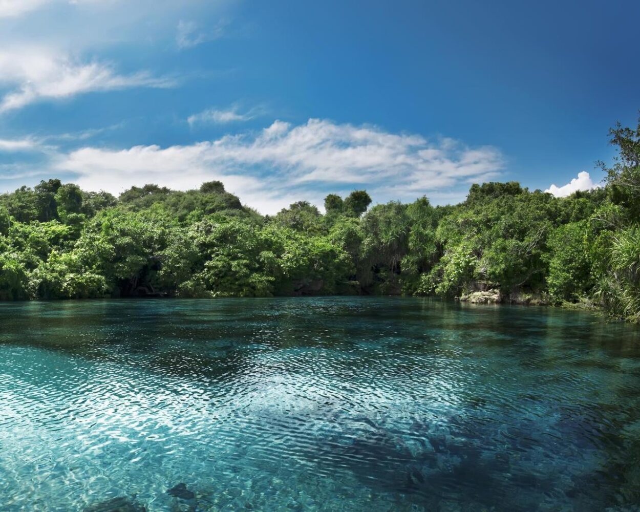 Reisfelder auf Bali, Abenteuer auf Sumba & Baden Hintergrundbild Reisfelder auf Bali, Abenteuer auf Sumba & Baden Hintergrundbild