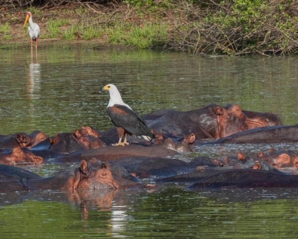 Bild für das Angebot: Sansibar (mit Ausflügen) & Safari im Naturschutzgebiet