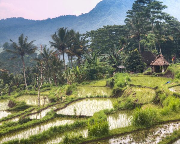 Malerische Kulissen in Sidemen, Süd Bali & Baden auf Nusa Lembongan