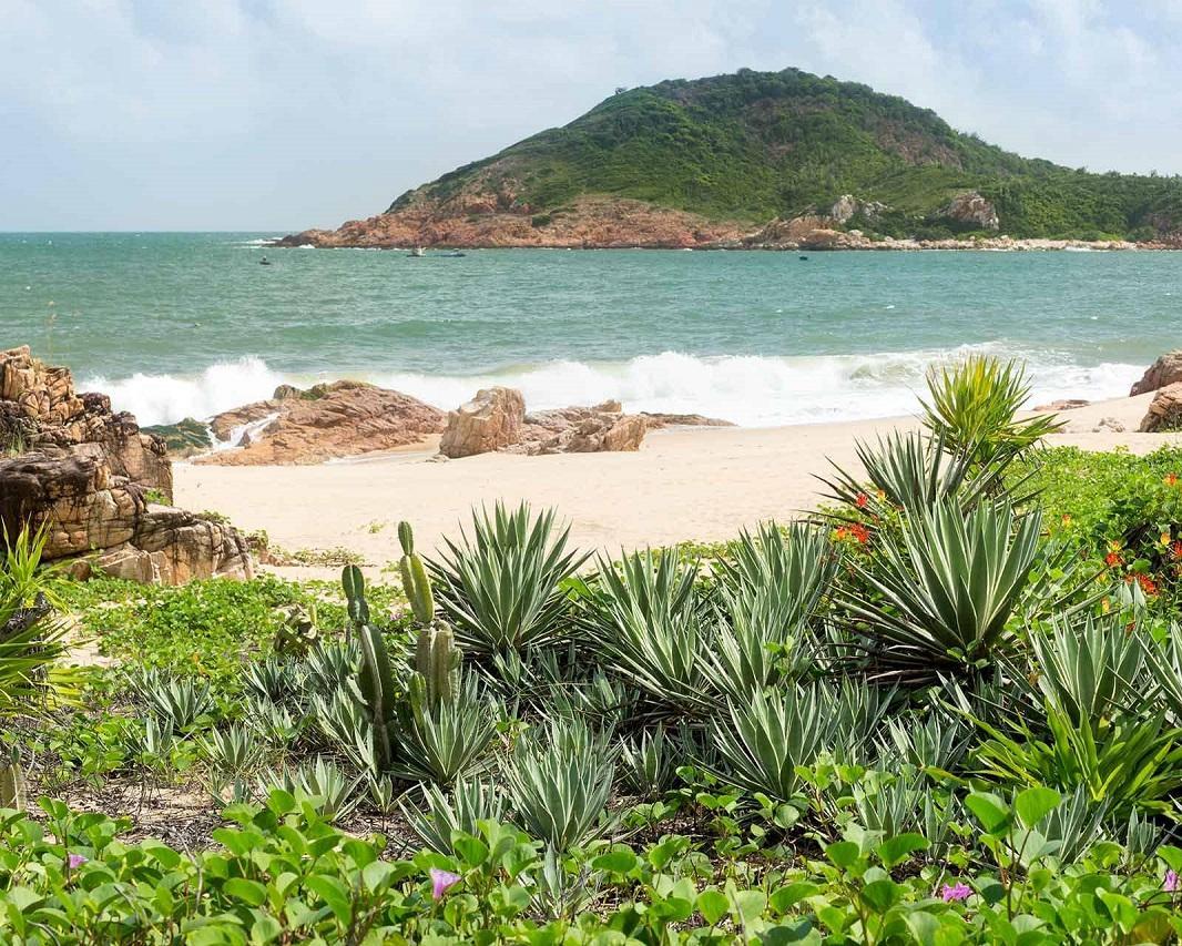 Vietnams Haupstadt Hanoi & Baden in Quy Nhon Hintergrundbild Vietnams Haupstadt Hanoi & Baden in Quy Nhon Hintergrundbild