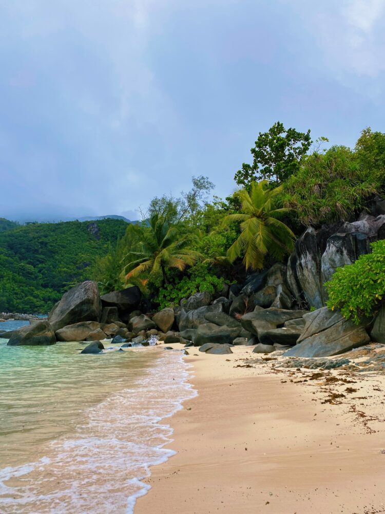 Preiswerte Kombination: Seychellen & Mauritius Hintergrundbild