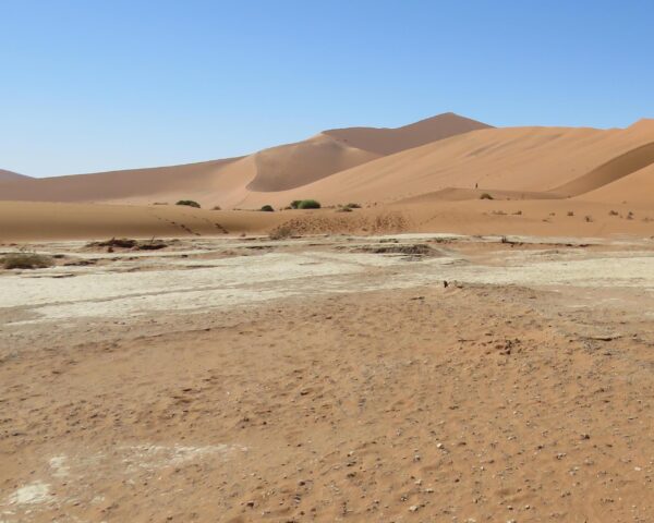 Camping Safari "Kapstadt nach Swakopmund" (inkl. Fluganreise)