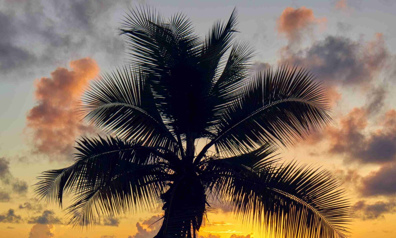 Mietwagenrundreise Seychellen "Naturparadies Mahé" (inkl. Flüge) Hintergrundbild