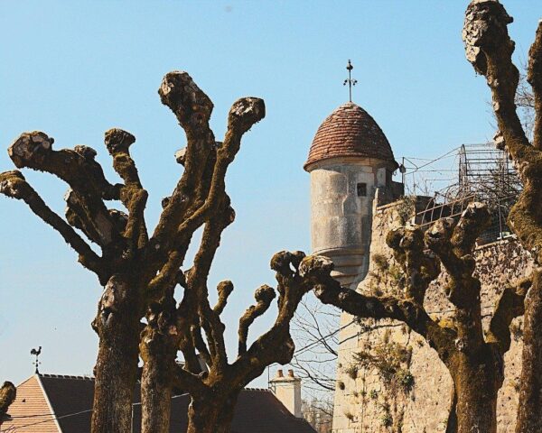 Mietwagenrundreise "Wein & Kultur in Burgund"