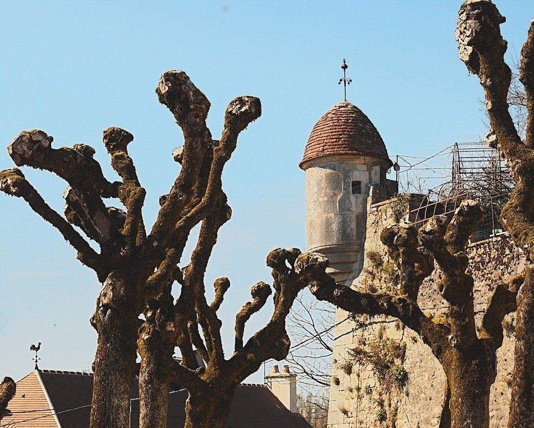 Mietwagenrundreise "Wein & Kultur in Burgund" Hintergrundbild Mietwagenrundreise "Wein & Kultur in Burgund" Hintergrundbild