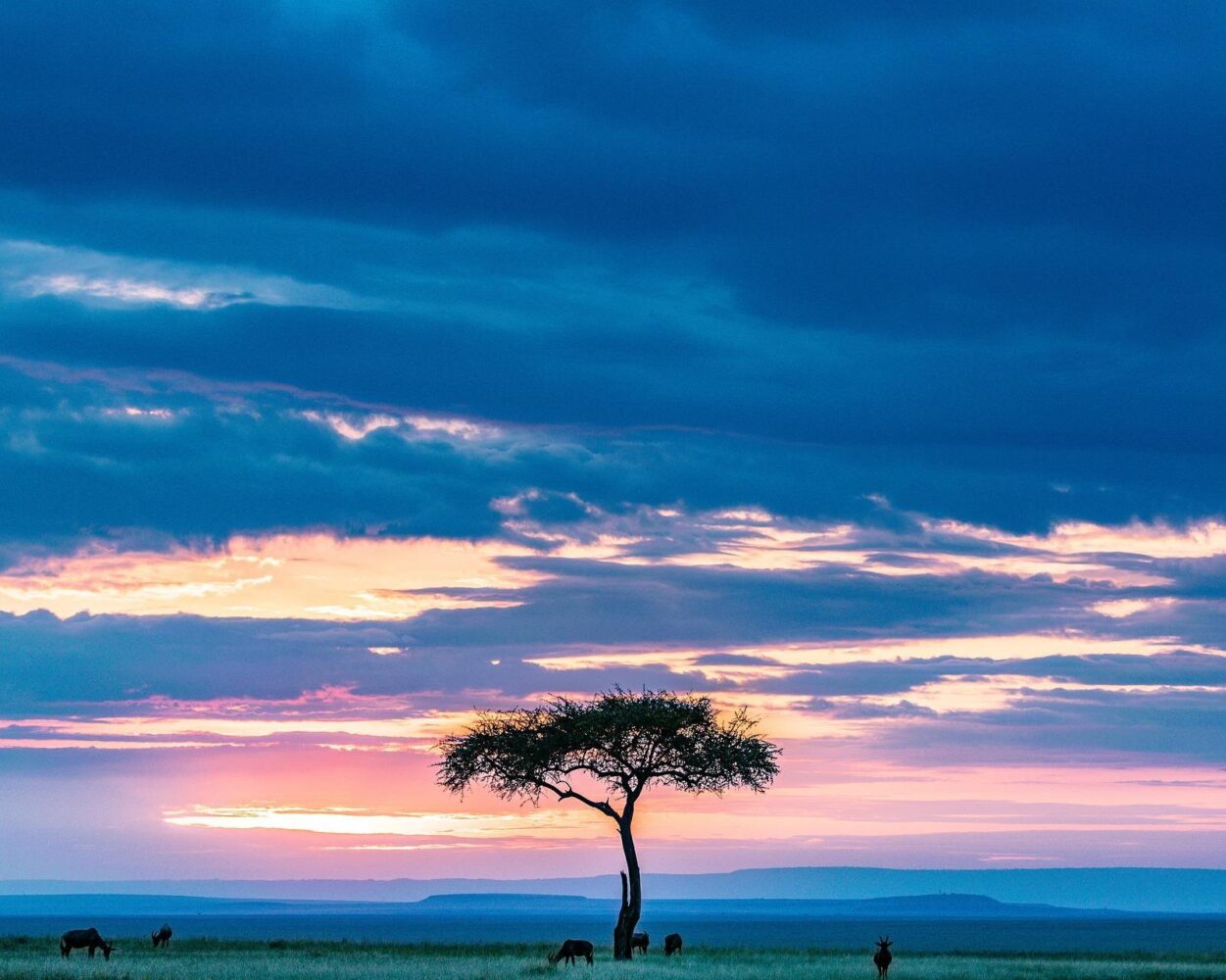 Große Kenia Road Safari Rundreise Hintergrundbild