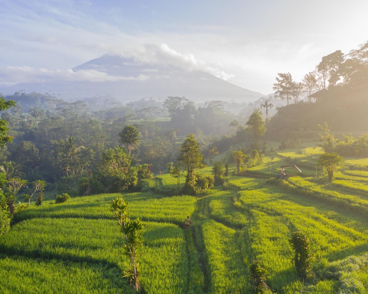 Privatrundreise "Inselhopping Ostbali & Lombok" Hintergrundbild