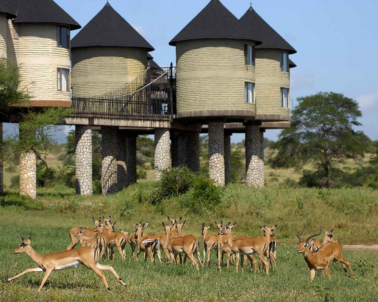 Privatrundreise "Familiensafari Kenia" Hintergrundbild