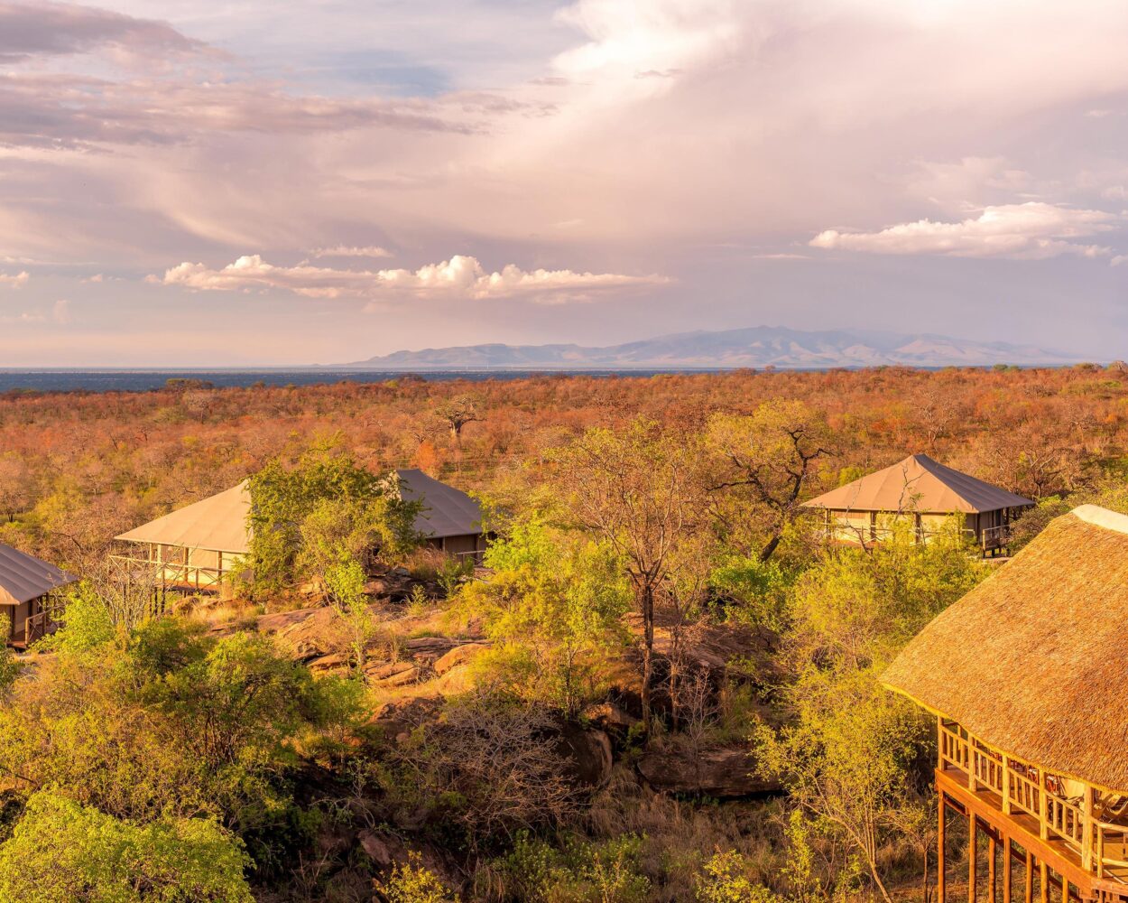 Safari in Tansania Hintergrundbild