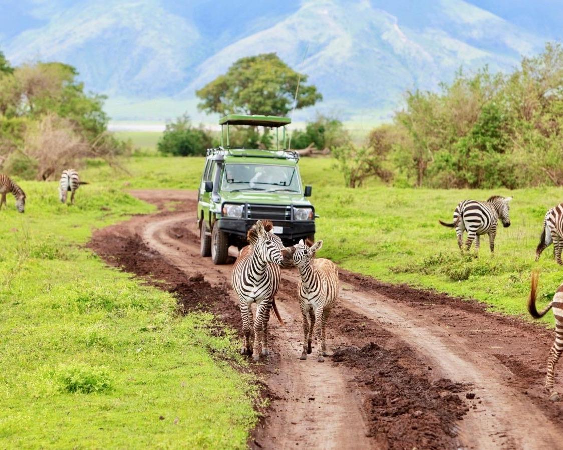 Safari "Serengeti 5 Tage" (inkl. Flug ab/bis Sansibar) Hintergrundbild