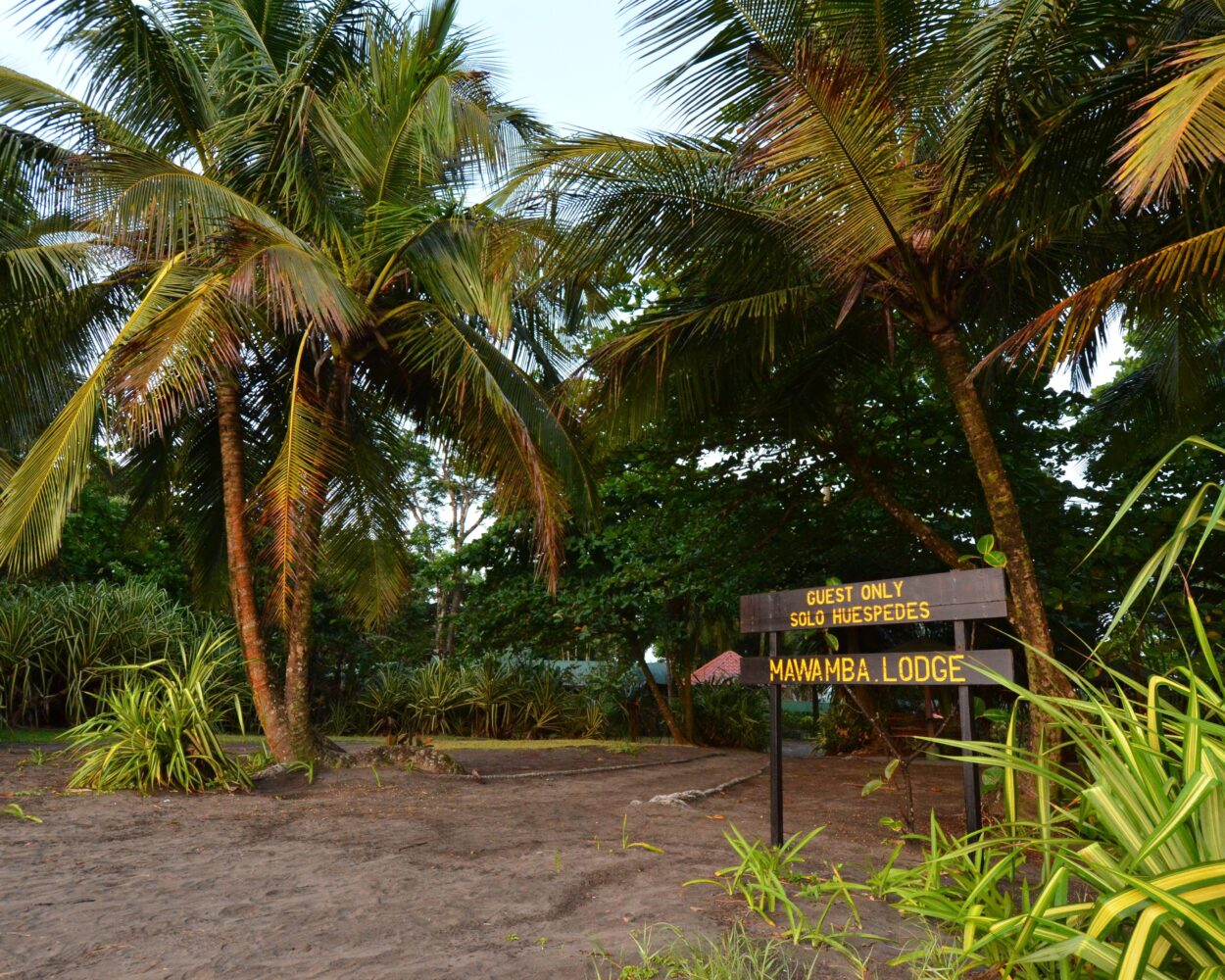 Kurztour "Tortuguero Mawamba Lodge" Hintergrundbild