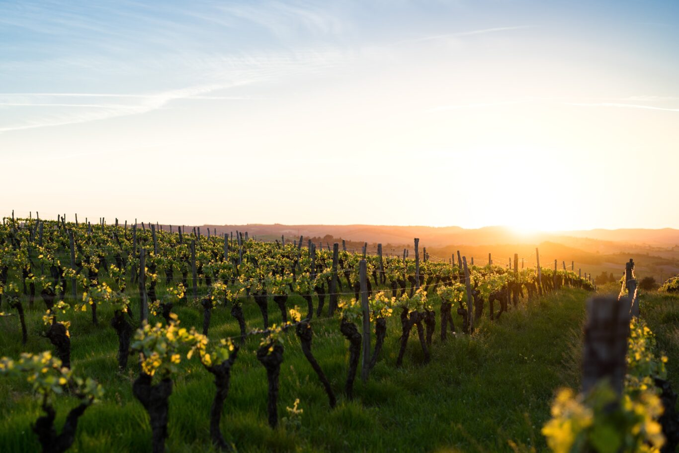 Von Marseille in die Weinbauregion Bordeaux Hintergrundbild