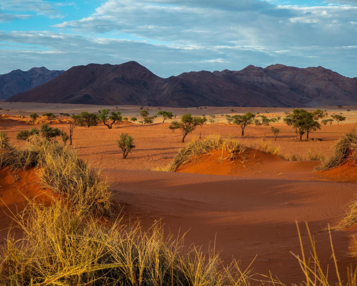Camping Safari "11 Tage durch Namibia" Hintergrundbild