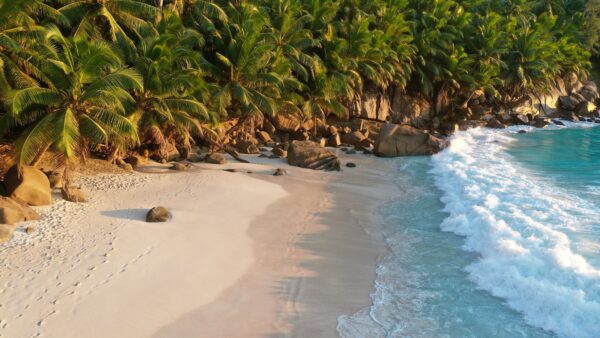 Badeurlaub auf den Seychellen: La Digue