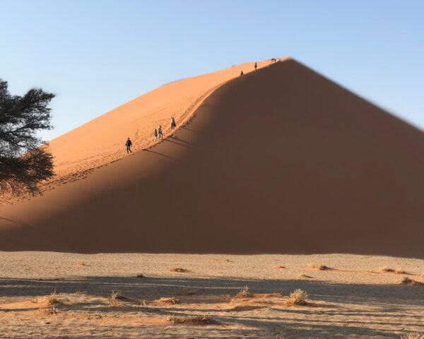 Kapstadt, Camping Safari bis nach Namibia & Erholung Walfischbucht