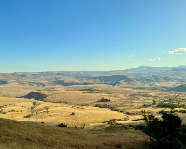 Kapstadt + Rundreise & Safari "Südafrikas Wildparks"